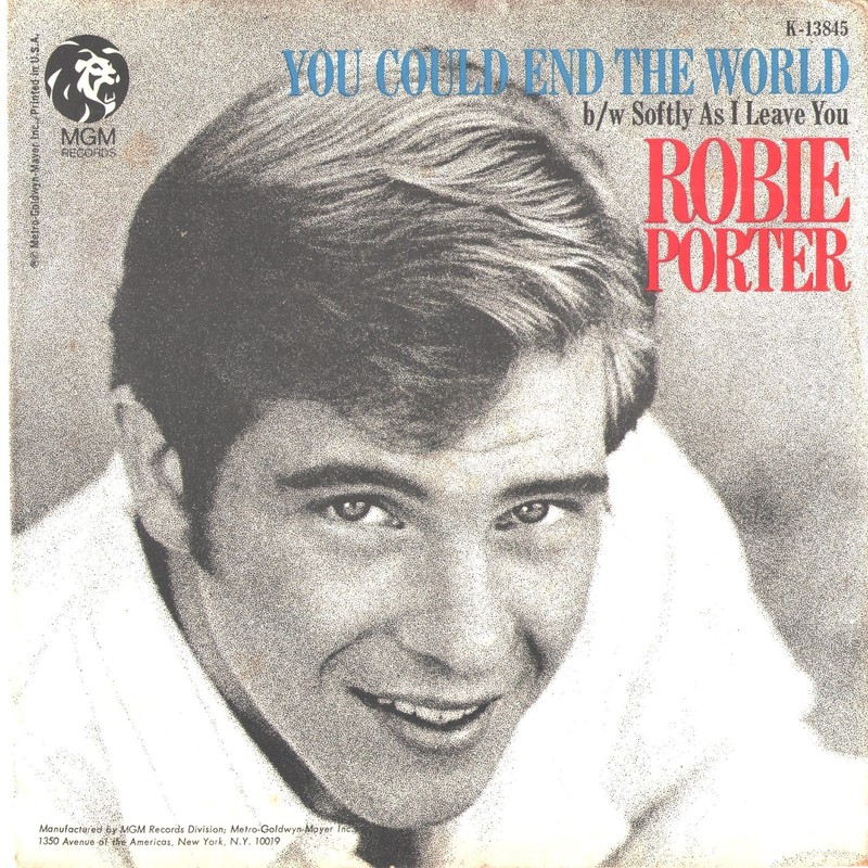 ROBIE PORTER-PICTURE SLEEVE + 45-(YOU COULD END THE WORLD)–PS–PIC–SLV