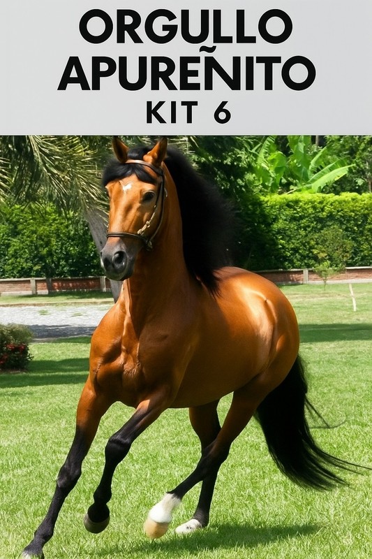 Kit 6 uds Orgullo Tigrito CHM Tigrito NEW